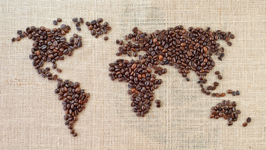Single origin coffee beans from different countries showcasing unique flavors and origins