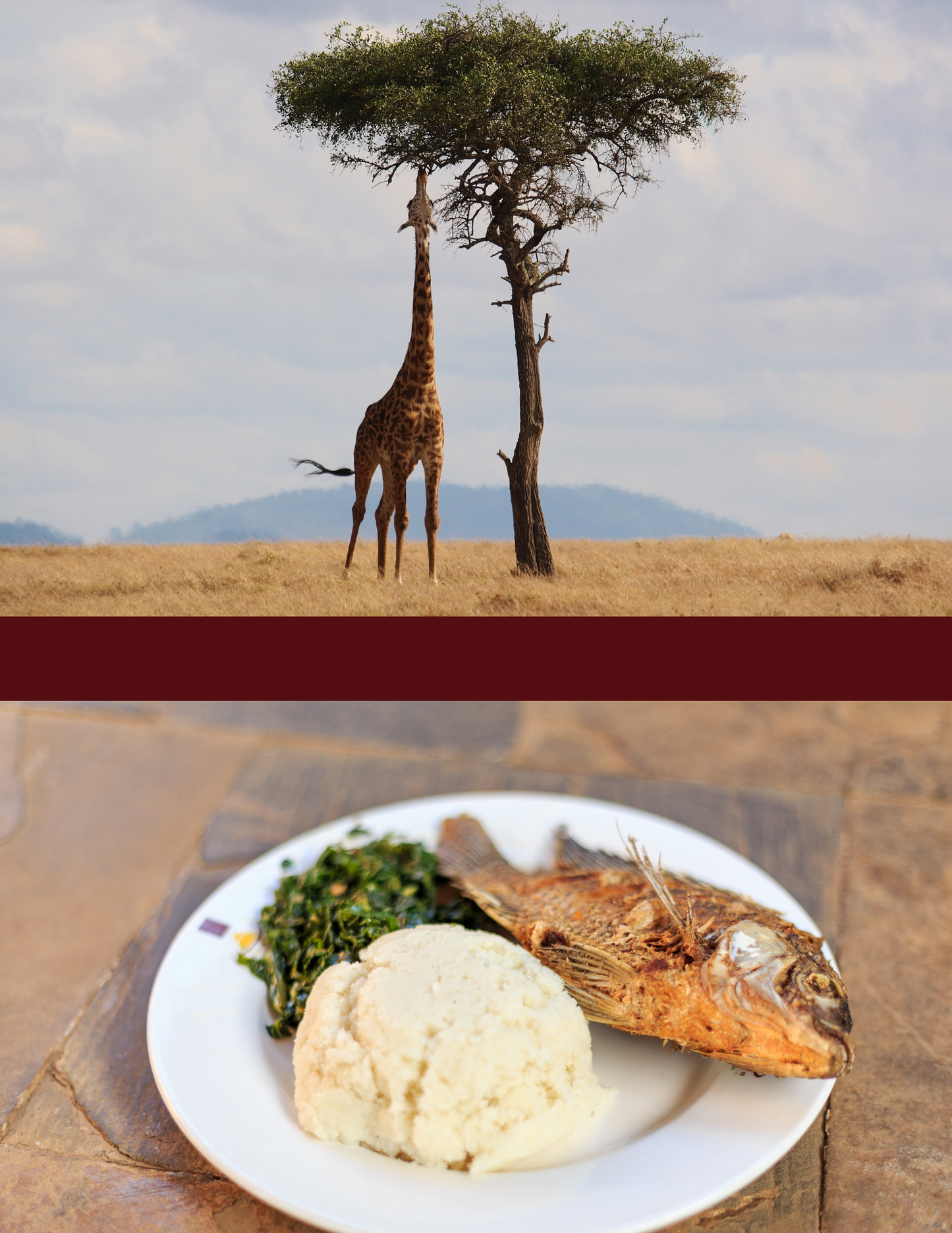 Split image of a sole giraffe with very long extended neck upwards into a tall tree and traditional Kenya food