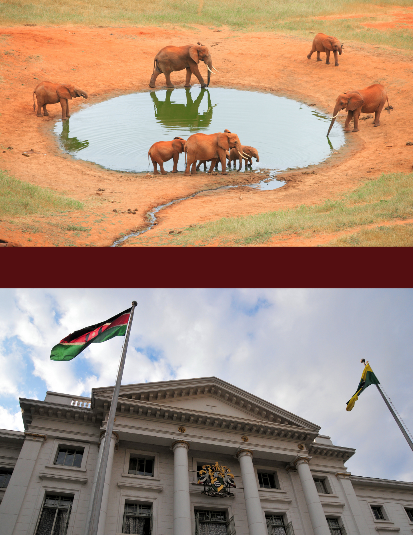 Split image of elephants gathering at a watering hole and a Kenyan government building