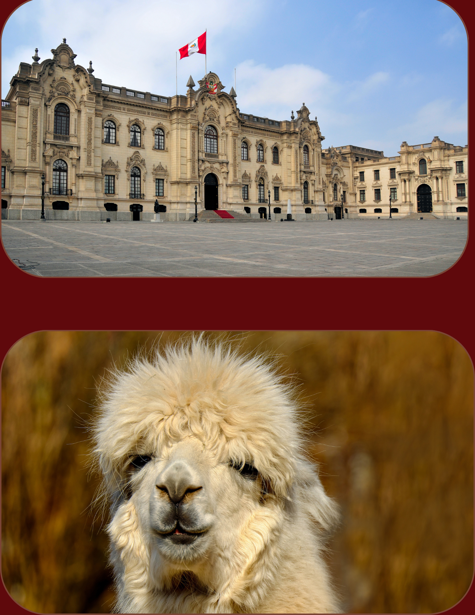 Split image of Peruvian governmental capital with Peruvian flag and a happy llama