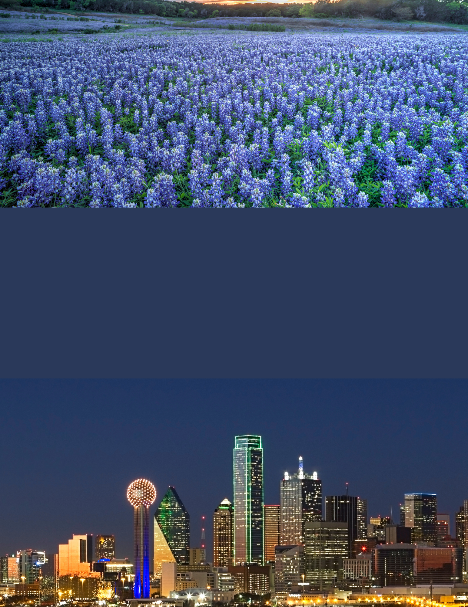 Split image of a field of Texan bluebonnets and the Dallas nighy skyline.