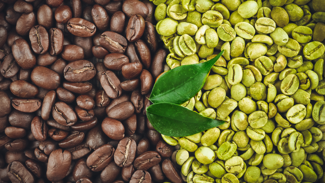 "Light medium dark roast coffee beans comparison showing color differences