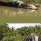 Split screen showing an alligator sunbathing and swamp boat.
